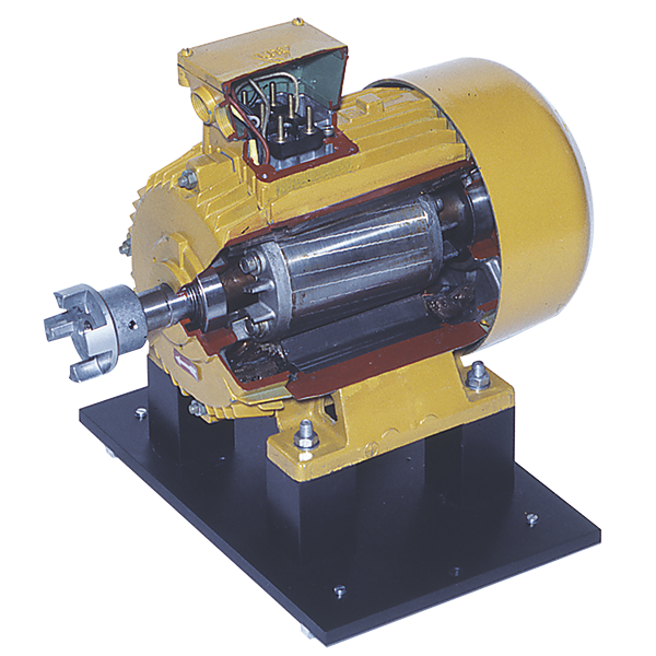 MV1020 Induction Motor Capacitor Start Terco [English]